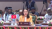 Vietnam ready to strengthen BRICS connection with Asia-Pacific